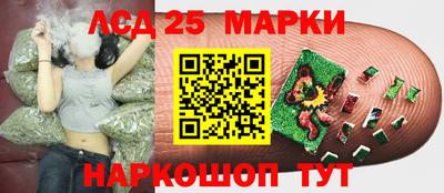 apvp Кинель