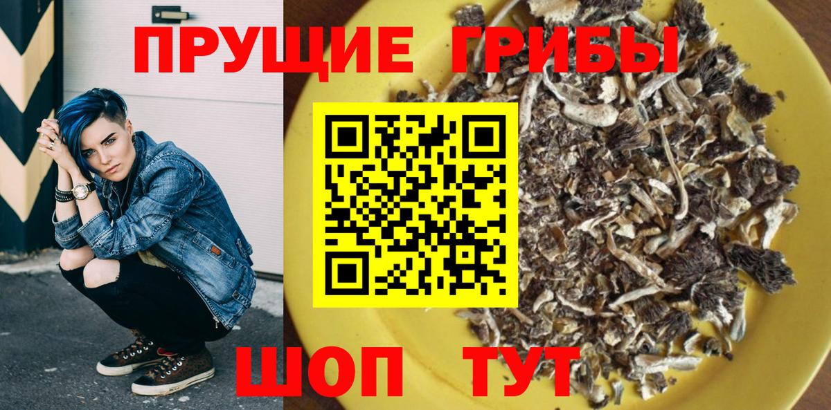 Псилоцибиновые грибы Psilocybine cubensis Джанкой