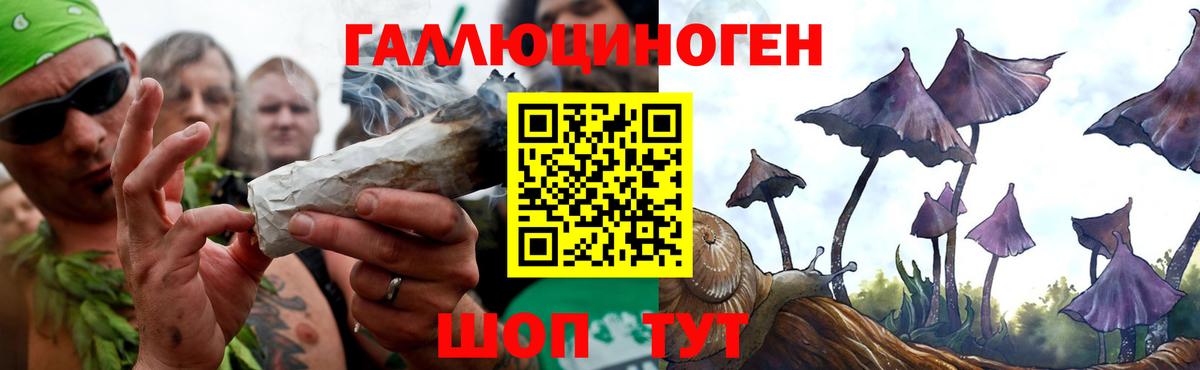 Галлюциногенные грибы мицелий  наркотики  Джанкой  Вход с VPN 