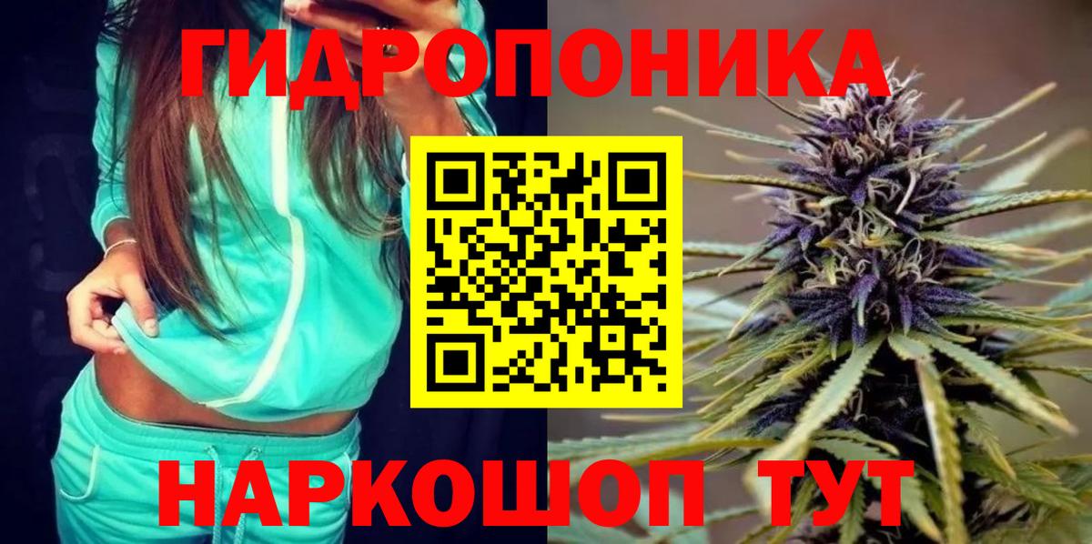 Каннабис планчик Джанкой